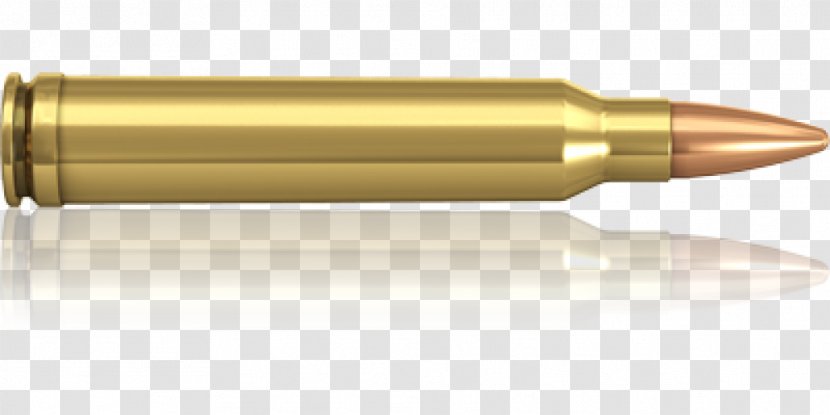 Bullet .300 Winchester Magnum 9.3×62mm Caliber .270 - Flower - Ammunition Transparent PNG