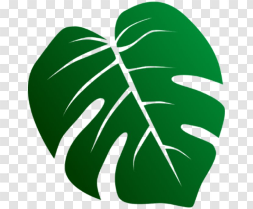 Leaf Green Clip Art Plant Monstera Deliciosa - Hand - Symbol Transparent PNG