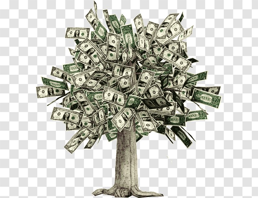 Moneytree Guiana Chestnut Money Trees Bank Account - Tree Transparent PNG