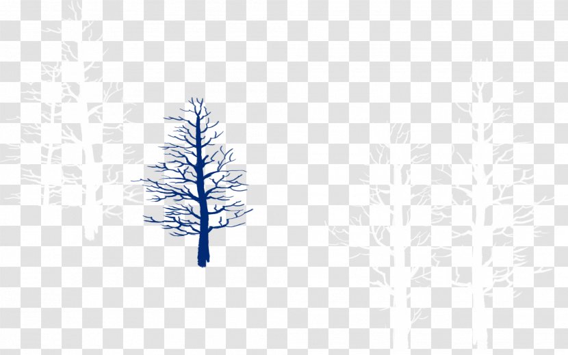 Tree Sky Pattern - Rectangle - Snowy Winter Branches Transparent PNG
