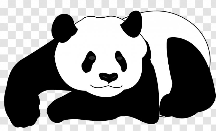 Giant Panda Bear Drawing - Vectors Transparent PNG