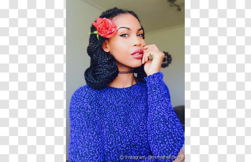 Box Braids Hairstyle Updo - Dreadlocks - Hair Transparent PNG