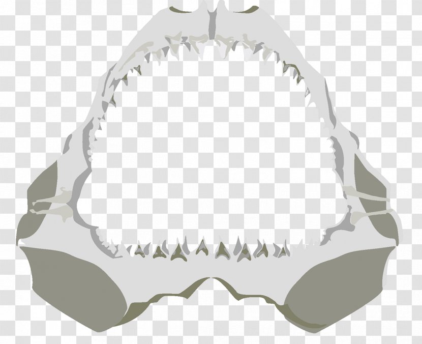 Jaw Angle - Design Transparent PNG