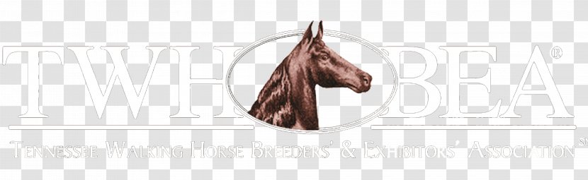 Tennessee Walking Horse Breeders' And Exhibitors' Association Logo Brand - Tree - Silhouette Transparent PNG