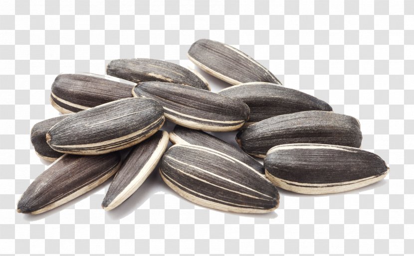 Common Sunflower Seed Nut - Nuts Seeds - Close-up Transparent PNG