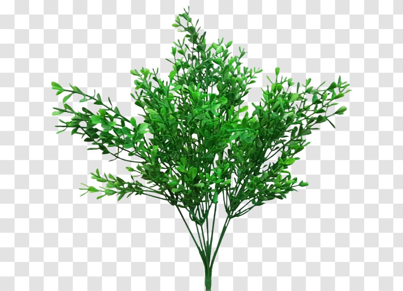 Leaf Shrub Branch Artificial Flower Plant Stem - Grass Transparent PNG