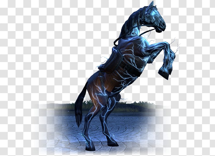 Stallion Rein Mustang Horse Harnesses Halter - Supplies Transparent PNG
