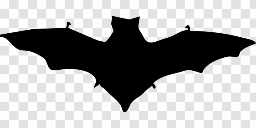 Bat Silhouette Clip Art - Symmetry Transparent PNG