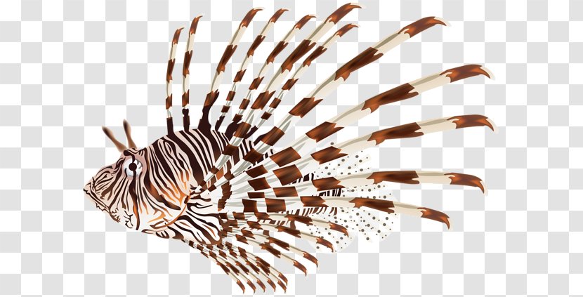 Red Lionfish Invasive Species Clip Art Transparent PNG