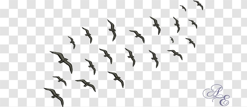 Flock Bird Migration Swarm Behaviour Animal - Feather - Birds Transparent PNG