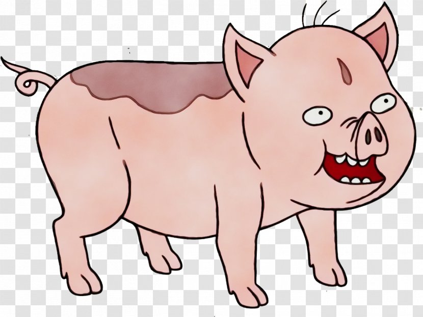 Cat And Dog Cartoon - Domestic Pig - Ear Fictional Character Transparent PNG