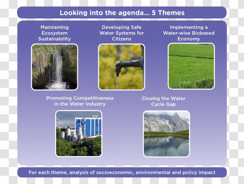 Water Resources Ecosystem Lawn - Plant - Into Transparent PNG