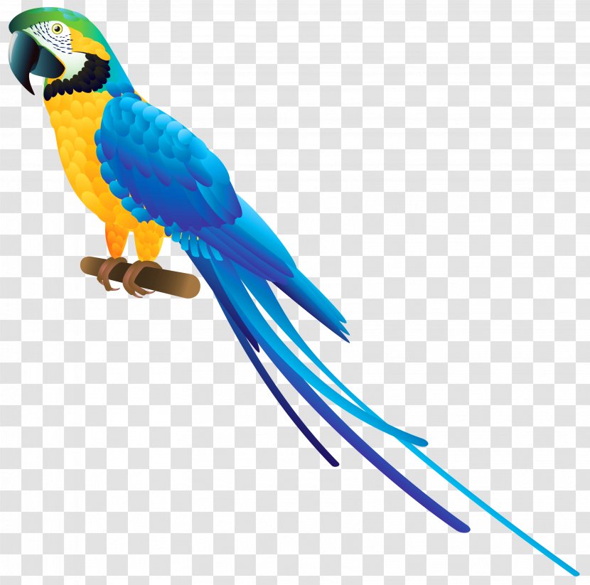 Parrot Bird Blue-and-yellow Macaw Clip Art - Blue - Clipart Collection Transparent PNG