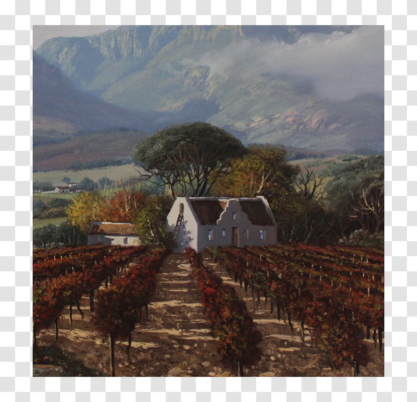 Common Grape Vine Painting Hill Station Plantation Mountain - Sky Transparent PNG