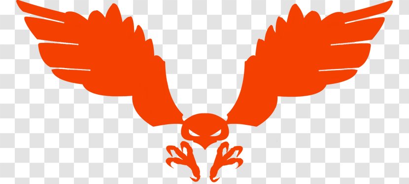 Symbol Red-tailed Hawk Logo Clip Art - Cartoon Transparent PNG