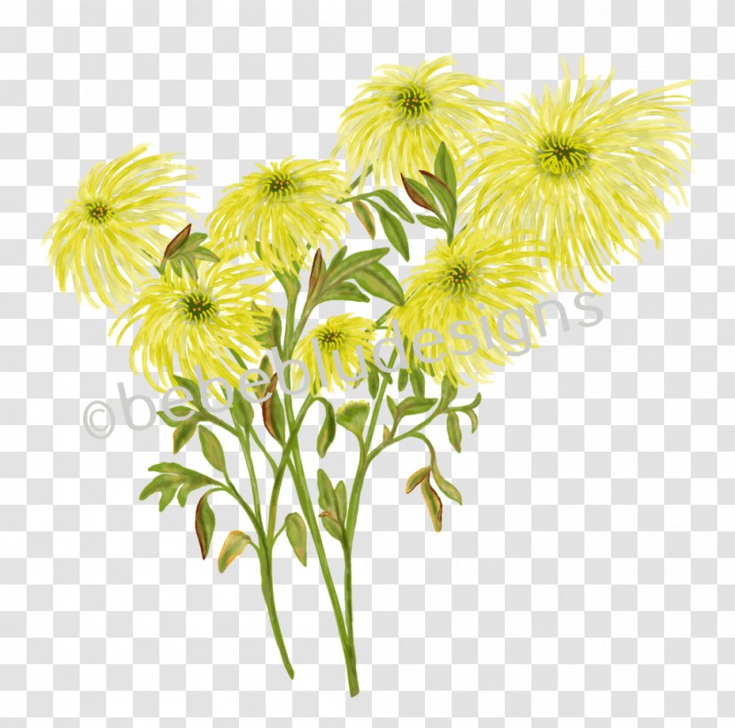 Chrysanthemum Floral Design Spider Information - Yellow Transparent PNG