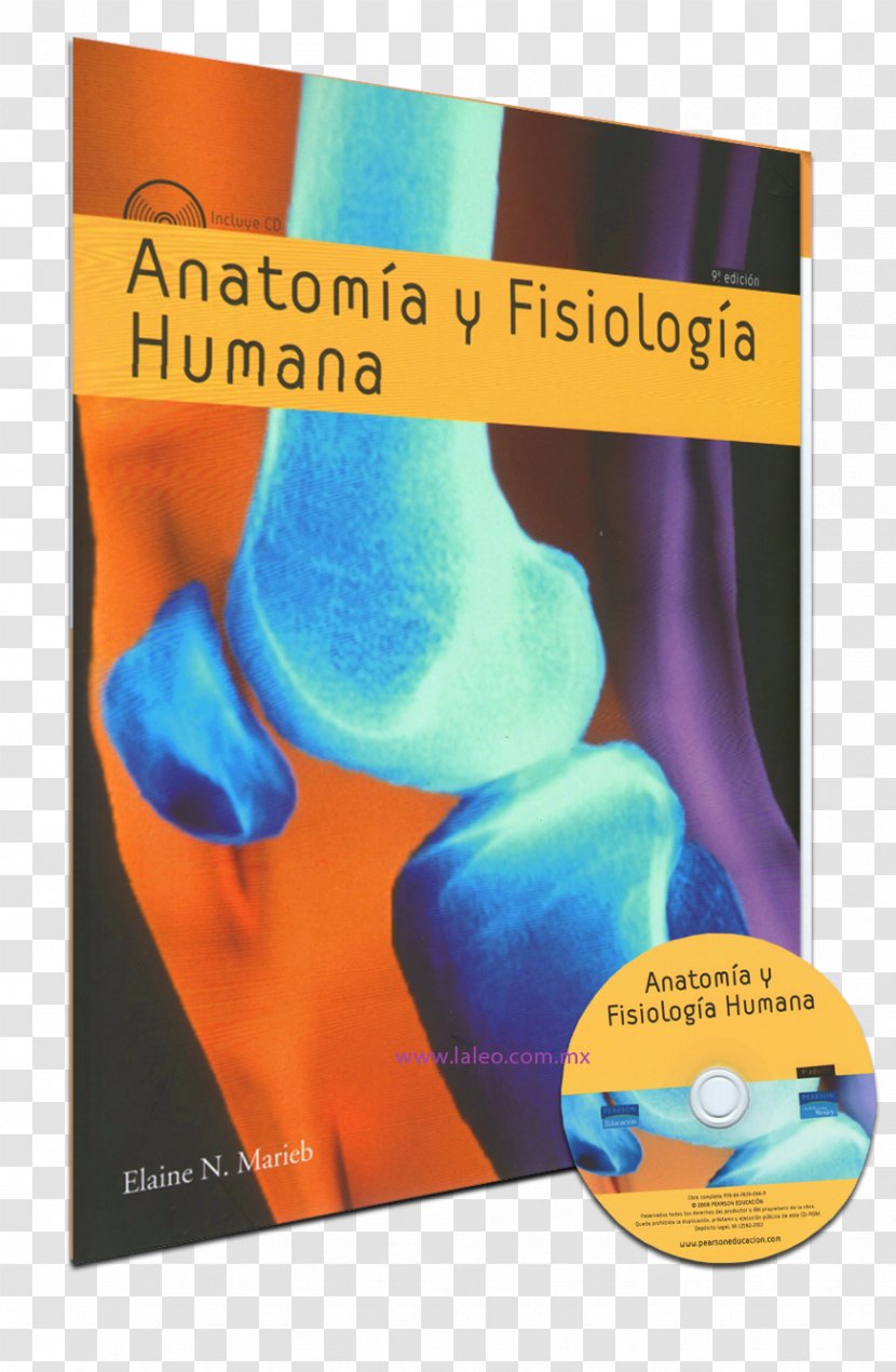 Anatomía Y Fisiología Humana (e-book) Anatomia Fisiologia Anatomy Human Physiology - Elaine Nicpon Marieb - Book Transparent PNG