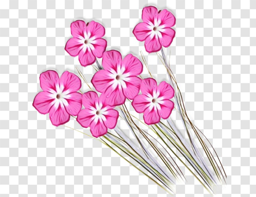 Pink Flower Plant Petal Flowering - Wet Ink - Stem Pedicel Transparent PNG