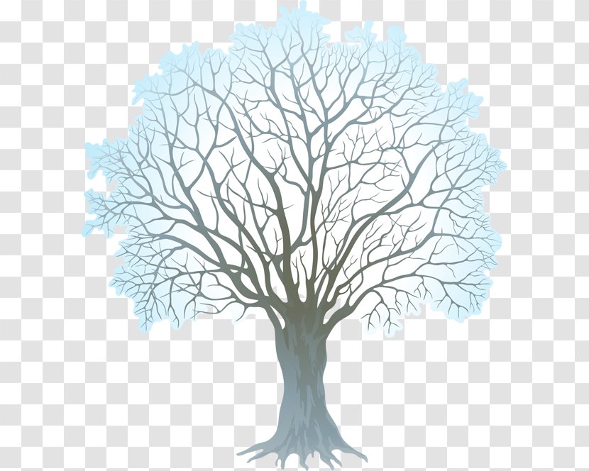 Tree Winter Branch Clip Art - Twig - Cliparts Transparent PNG