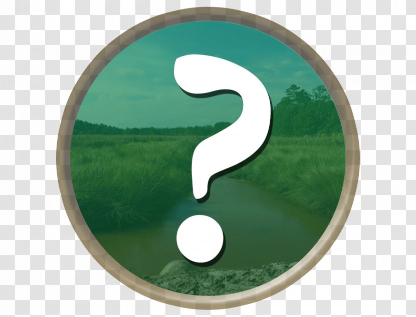 Green Grass Background - Question - Number Transparent PNG