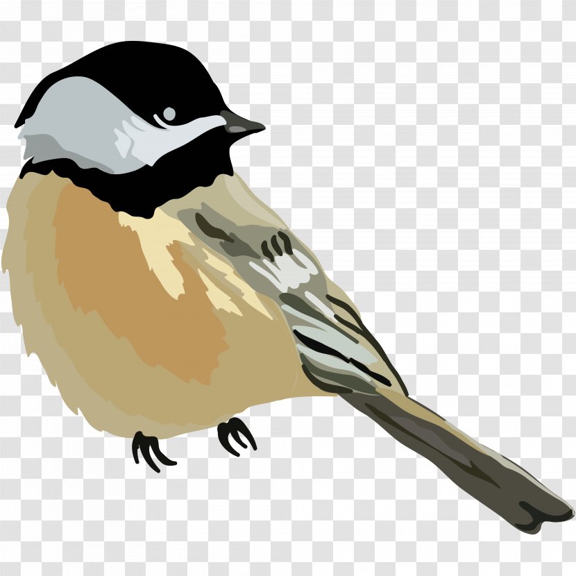 Bird House Sparrow Cartoon Drawing - Beak - Hand-painted Turned Transparent PNG