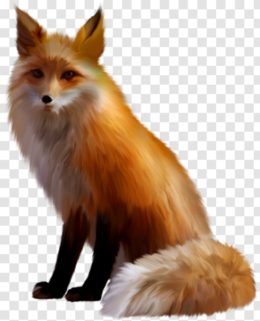 Red Fox Sticker Arctic - Dog Breed Transparent PNG