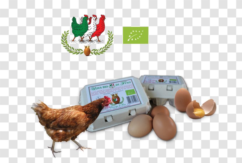 Chicken Egg Animal Husbandry Organic Farming Milk - Yoghurt Transparent PNG