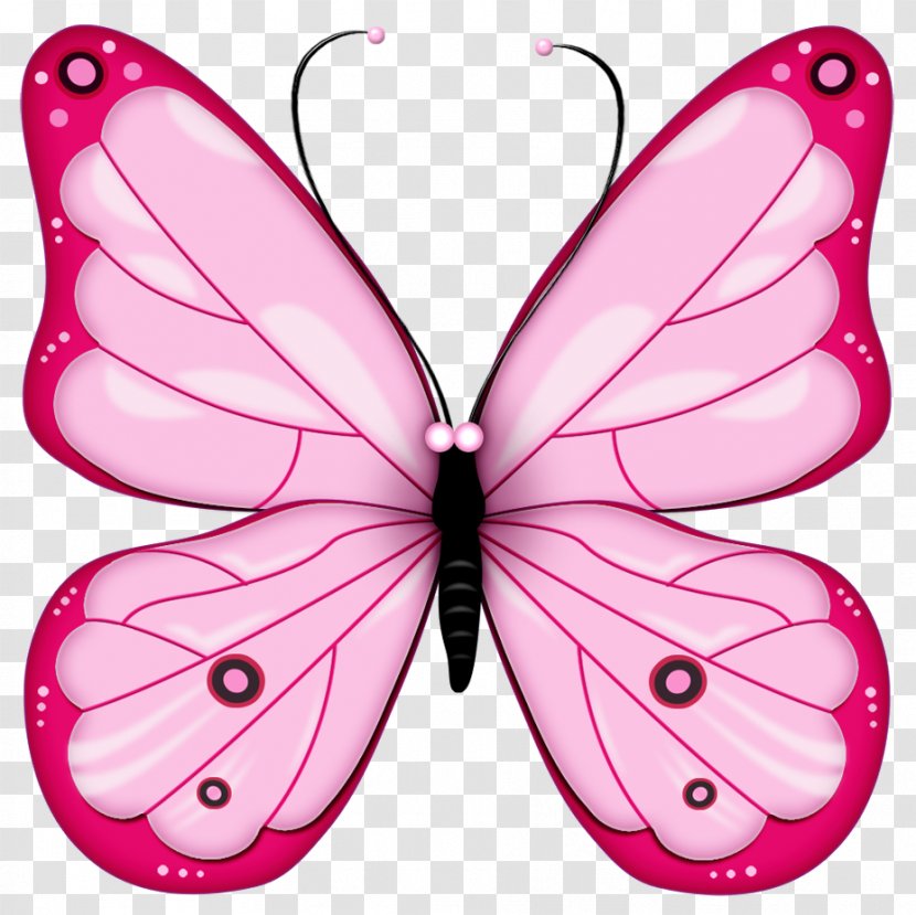 Drawing Clip Art - Magenta - Butterfly Transparent PNG