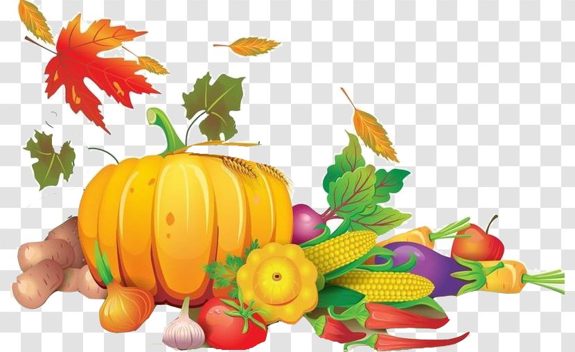 Harvest - Thanksgiving - Flower Transparent PNG