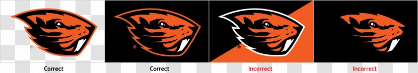 Oregon State University Ohio Beavers Football Logo - Facial Hair - Beaver Transparent PNG