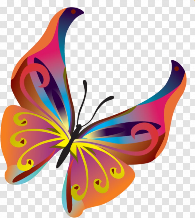 Butterfly Clip Art - Insect - Butterflies Transparent PNG