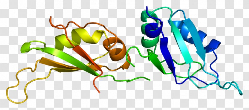 HNRNPA1 Homogeneous And Heterogeneous Mixtures Ribonucleoprotein Particle - Flower - Frame Transparent PNG