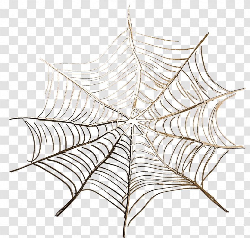 Spider Web Silk Clip Art - Tree Transparent PNG