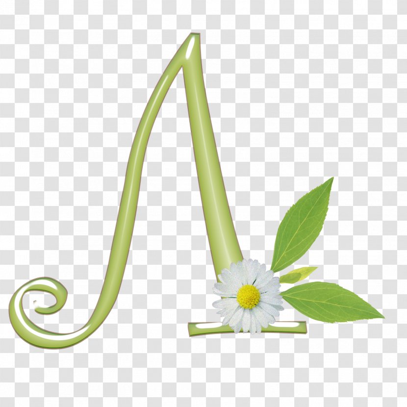 Baby Alphabet Flower Umbrella Font - Alternative Health Services - Margarida Transparent PNG