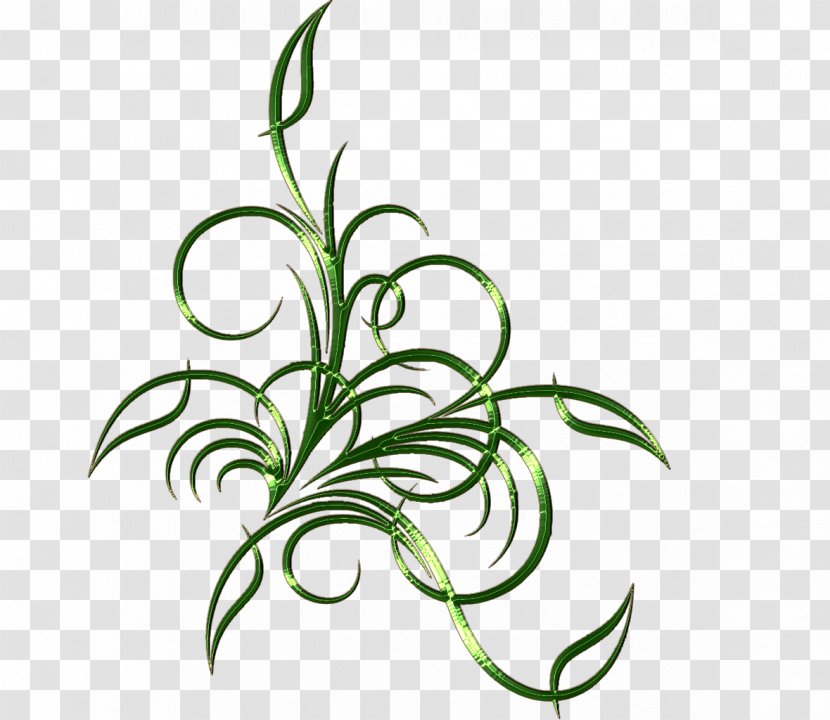 Vector Graphics Stock Photography Image Shutterstock Royalty-free - Plant Stem - Apophysis Transparent PNG