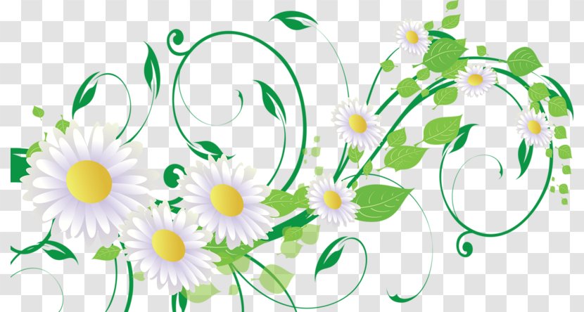 Matricaria Home Page Clip Art - Plant Stem - Floral Design Transparent PNG