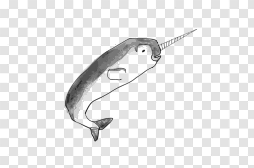 Narwhal Toothed Whale Drawing Blanket Sketch - Beluga Transparent PNG
