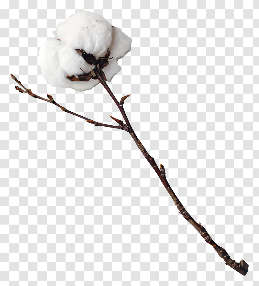 Fluffy Cotton Twig - Single Cotton Flower On Branch Transparent PNG