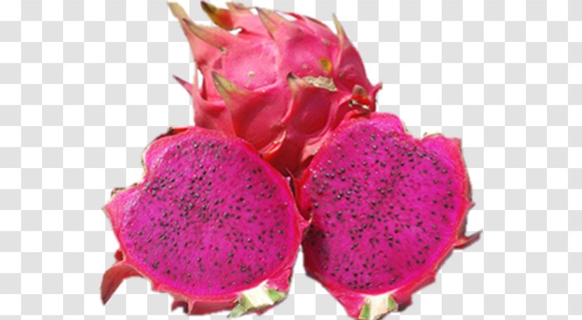 Pitaya Vegetarian Cuisine Fruit Juice Eating - Pink Family Transparent PNG