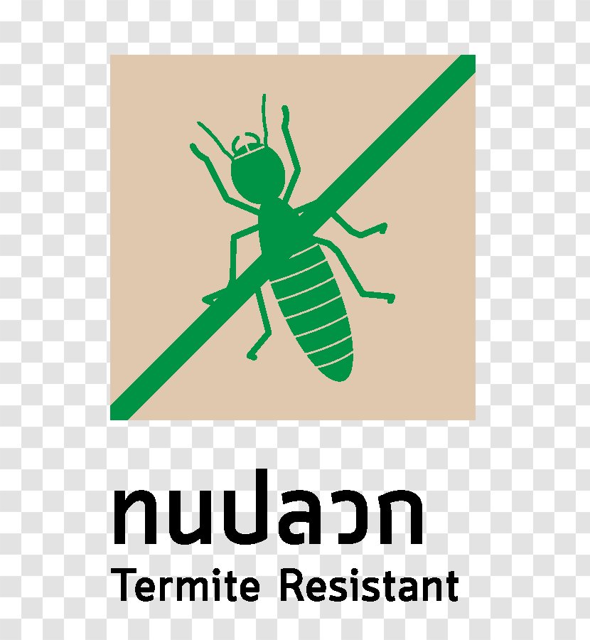 Logo Insect Graphic Design Brand Font Transparent PNG