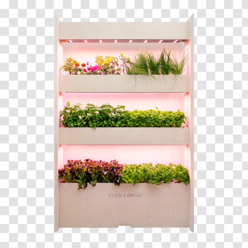 Garden Farm Click & Grow Green Wall - Plant - Agriculture Transparent PNG