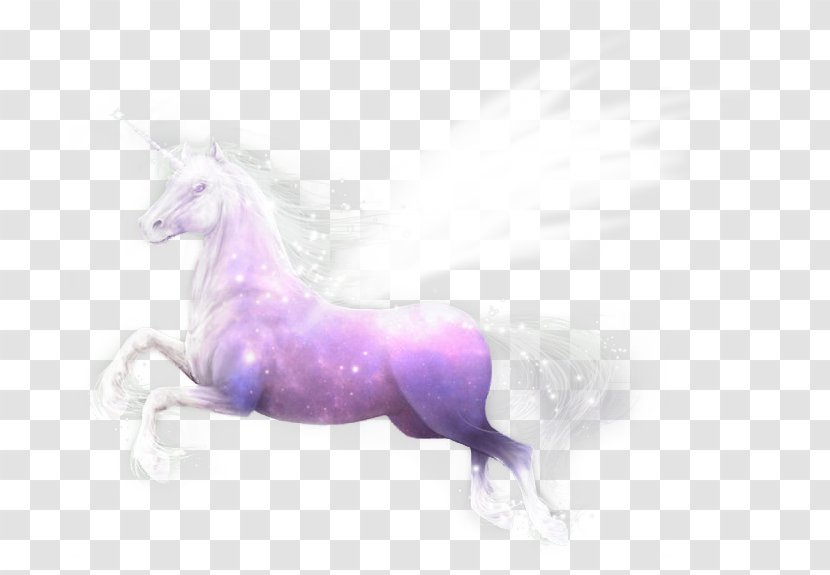Unicorn Mustang Freikörperkultur Purple Yonni Meyer - Licorne Transparent PNG