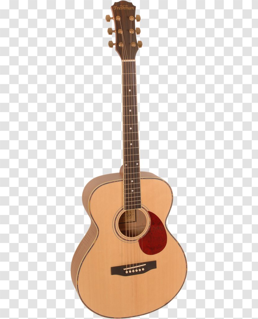 Dreadnought Twelve-string Guitar Takamine Guitars Acoustic-electric Acoustic - Twelvestring - Band Transparent PNG