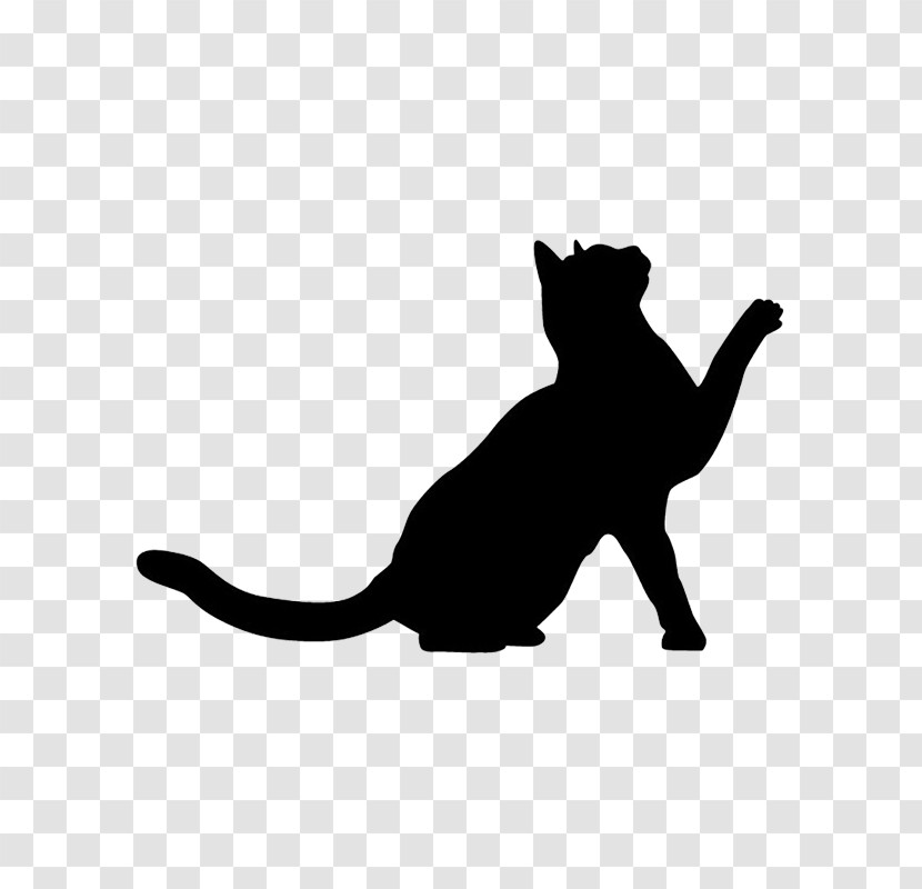 Cat Small To Medium-sized Cats Black White Black Cat Transparent PNG