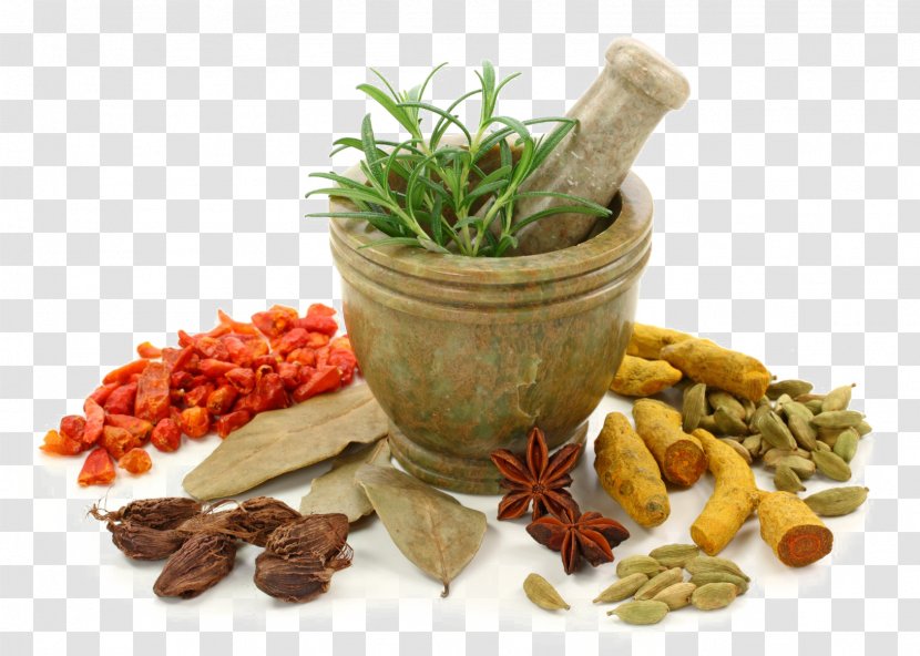 Ayurveda Ayurvedic Healing Medicine Therapy Health - Flowerpot - Benefits Of Garlic Transparent PNG