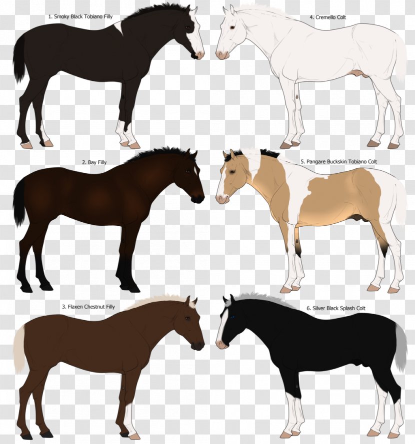 Mustang Pony Silhouette - Agricultural Show Transparent PNG