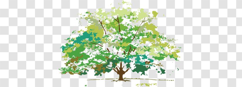 Four Seasons Hotels And Resorts Autumn Leaf Color Clip Art - Flora Transparent PNG