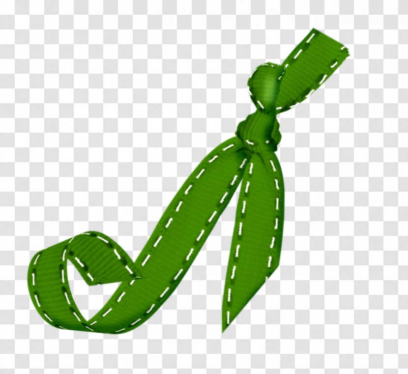 Ribbon Shoelace Knot - Green Bow Transparent PNG