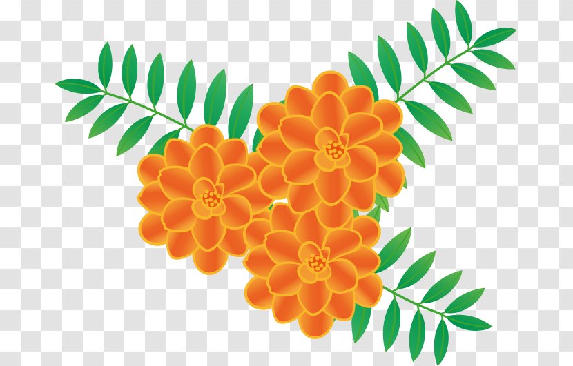 Flower Art Marigold Royalty-free - Royaltyfree - Summer Flowers Transparent PNG