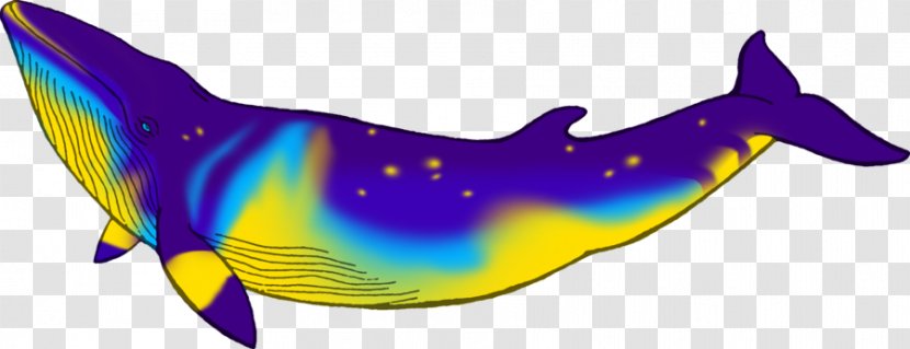 Dolphin February 7 Animal Beluga Whale - Minke Transparent PNG